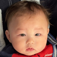 写真：赤ちゃん　たいせい