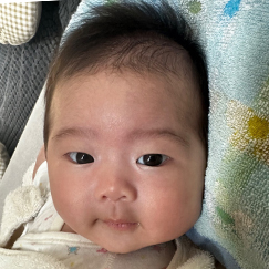 写真:赤ちゃん ひより