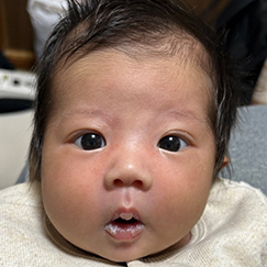 写真:ここみ