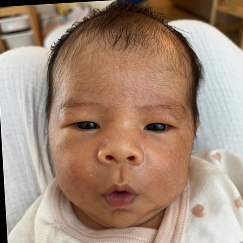 写真：赤ちゃん　すみれ