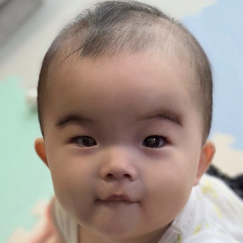 写真：赤ちゃん　ひな
