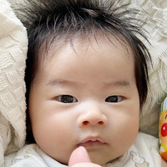 写真:赤ちゃん はるみち