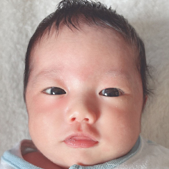 写真:赤ちゃん らん