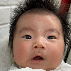 写真:赤ちゃん しゅんすけ