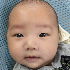 写真:赤ちゃん ふきと