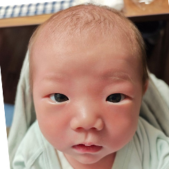 写真:赤ちゃん まなと