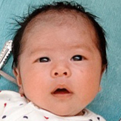 写真:赤ちゃん ほのか