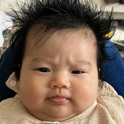 写真:赤ちゃん いろは
