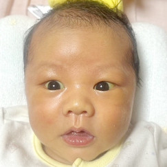 写真:赤ちゃん らん