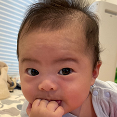 写真:赤ちゃん いつき