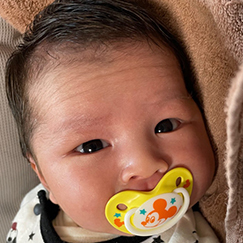 写真:赤ちゃん ひびき