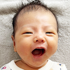写真:赤ちゃん たいせい