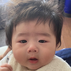 写真：赤ちゃん　いおり