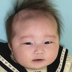 写真:赤ちゃん ひな