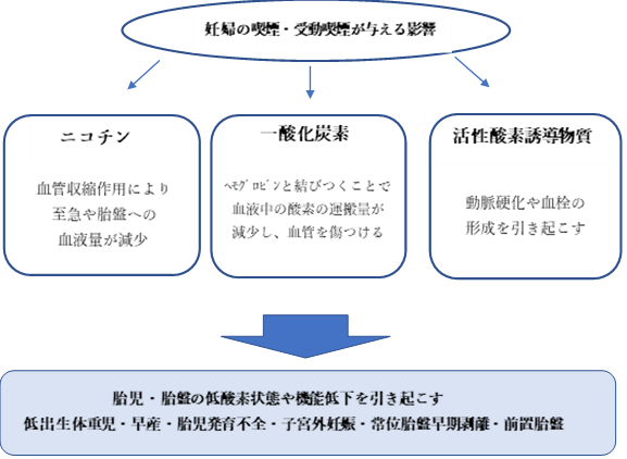 イラスト：妊娠中の喫煙や受動喫煙が妊婦や子どもに与える影響