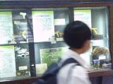 写真:校外学習の様子5