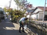 写真：清掃活動の写真3