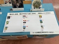 写真:展示の様子3