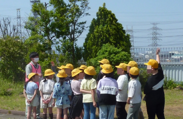 写真：屋上緑化の説明