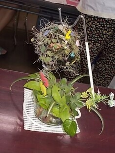 写真：子ども園芸教室6