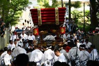 写真：木漏れ日に輝く布団太鼓