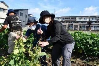 写真：枝豆を抜き取り笑顔の老夫婦