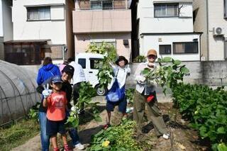 写真：枝豆を抜き取り笑顔の参加者