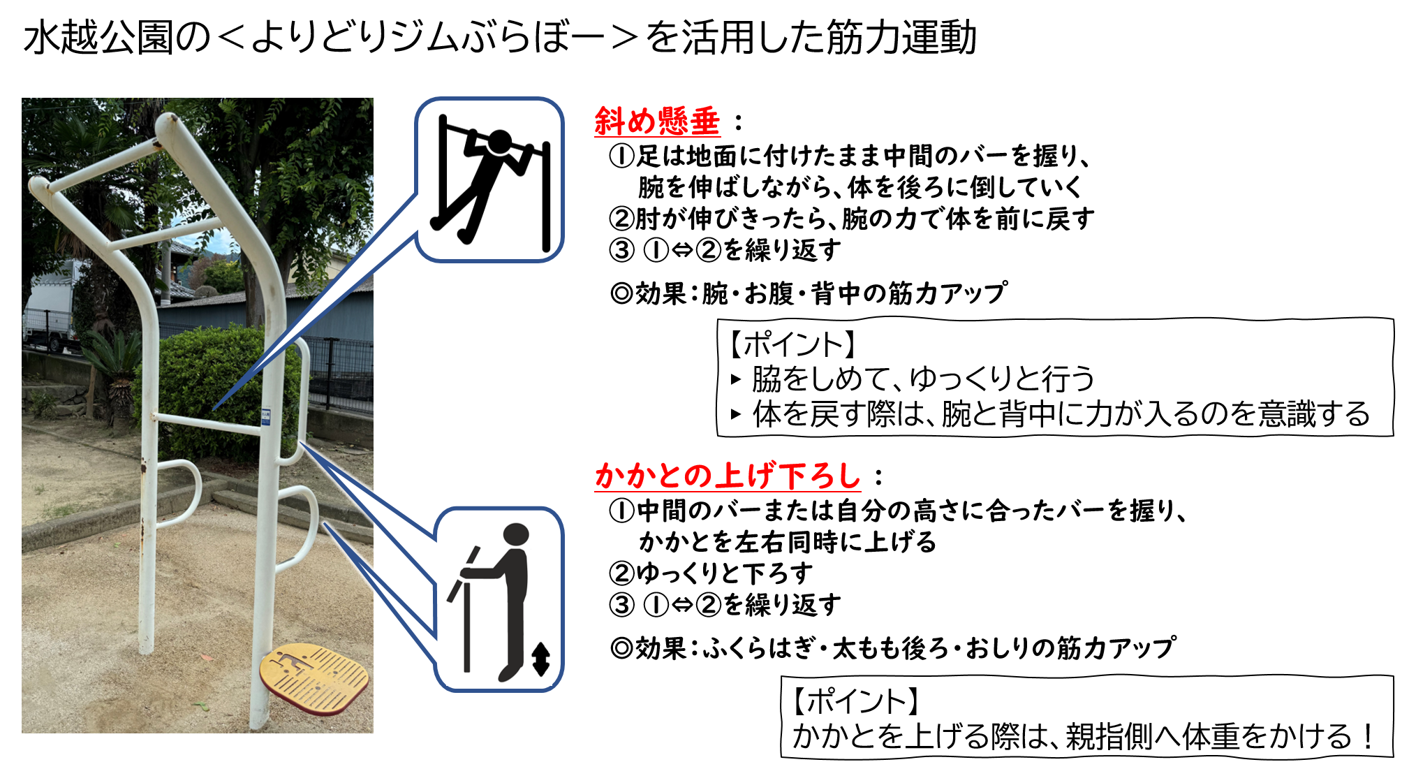 水越公園のよりどりジムぶらぼーを活用した筋力運動