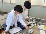 写真:シュガースカルを作る生徒たち