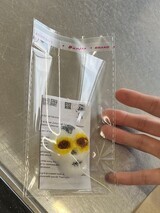 写真:シュガースカルと下絵を透明な袋にパッキングした様子