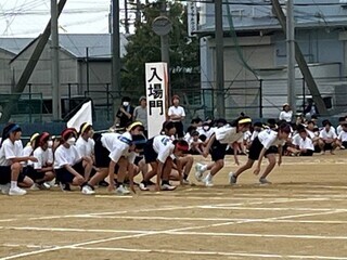 写真：50m走