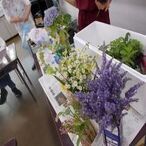 写真：＜置き場所に困らない＞アイデア園芸の教室の様子4