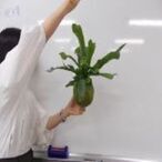 写真：みどり游空間ガーデニングの教室の様子3