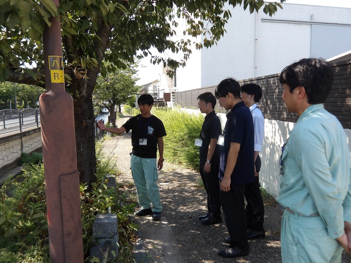 写真：樹木を点検する大学生ら