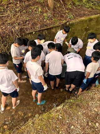 写真：沢で魚つかみをする子供たち