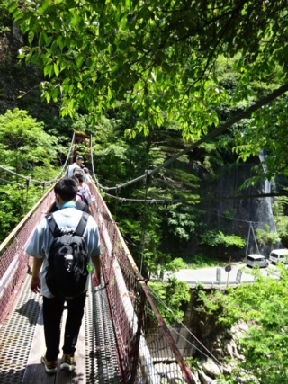 写真:つり橋を渡る児童ら1