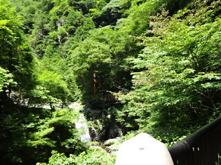 写真:山中にある滝