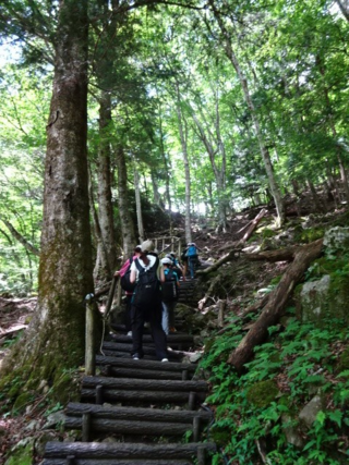 写真:山中の階段を登る児童ら