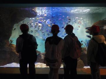 写真：修学旅行5