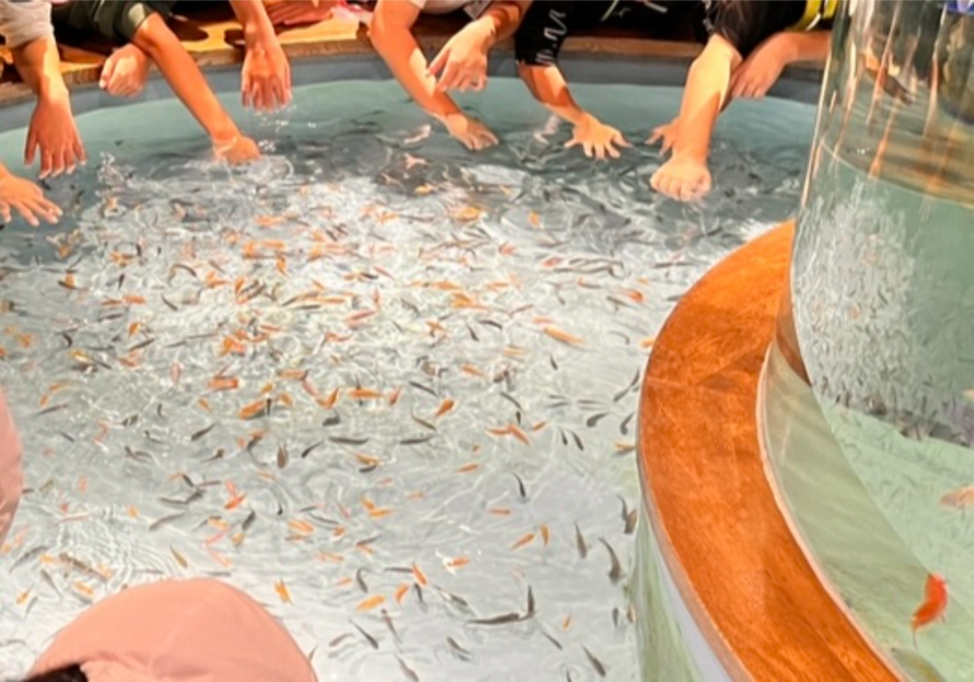 写真：修学旅行