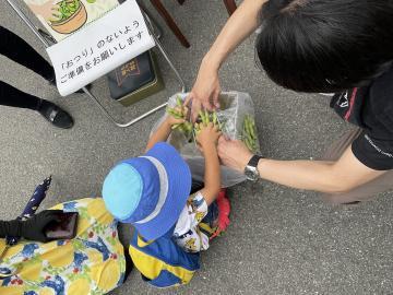写真：えだまめ掴み取り