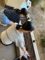 写真：花を育てる2