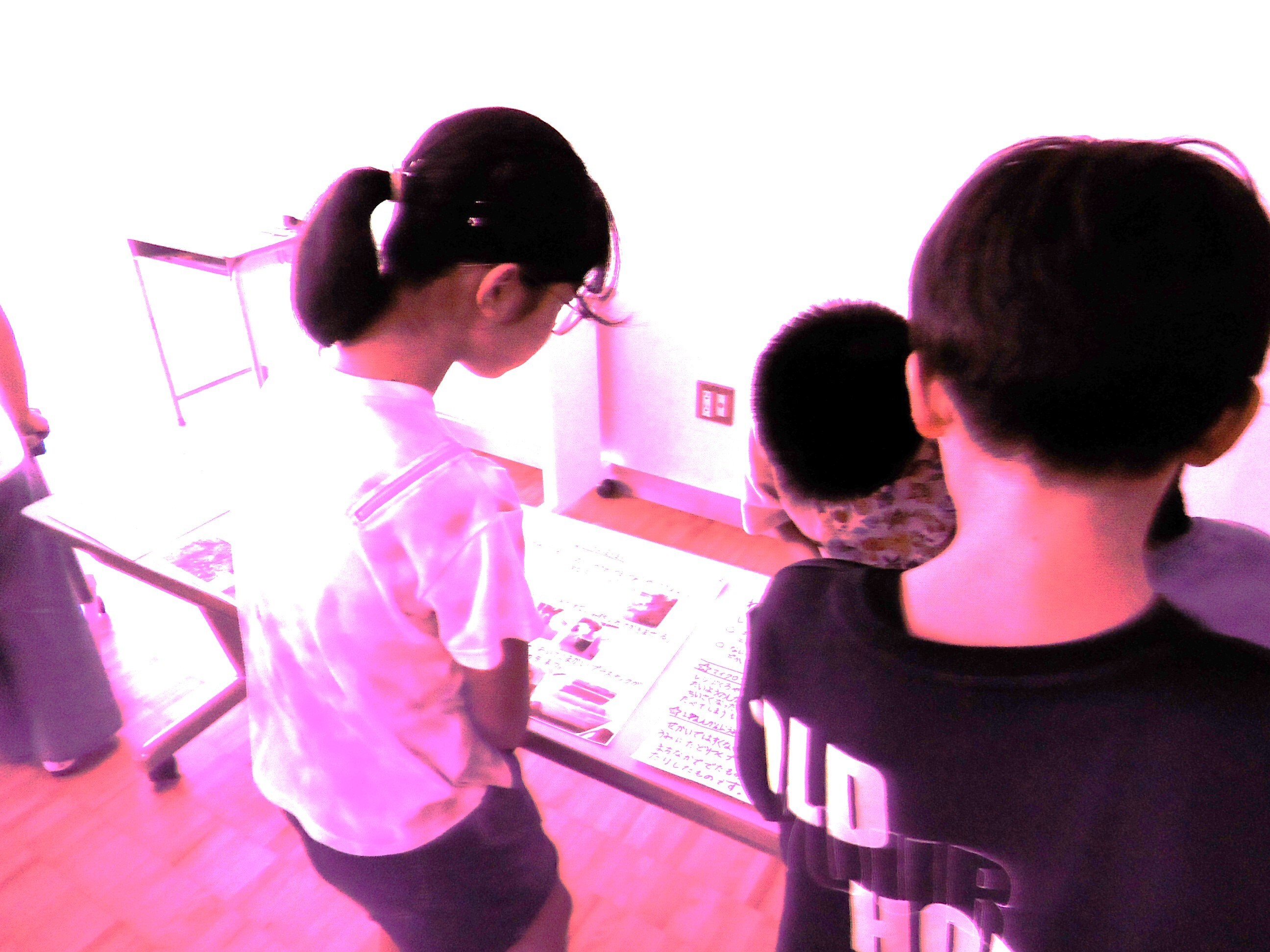 写真：校内理科作品展2