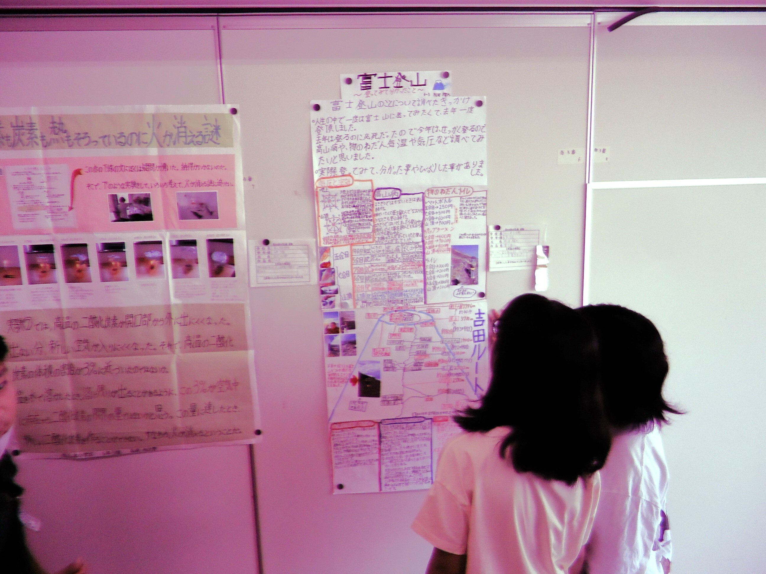写真：校内理科作品展1