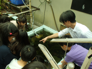 写真：八尾の生き物講座2