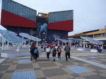 写真：海遊館1