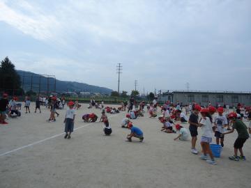 写真：運動場の石拾いの様子2