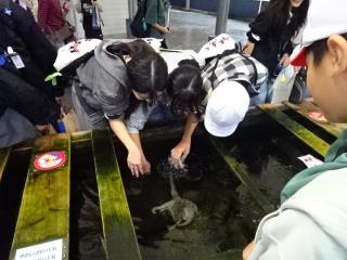 写真:修学旅行1日目の様子5