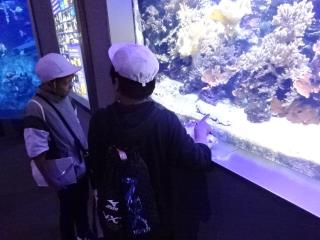 写真:修学旅行1日目の様子4