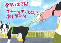 写真：入選作品13